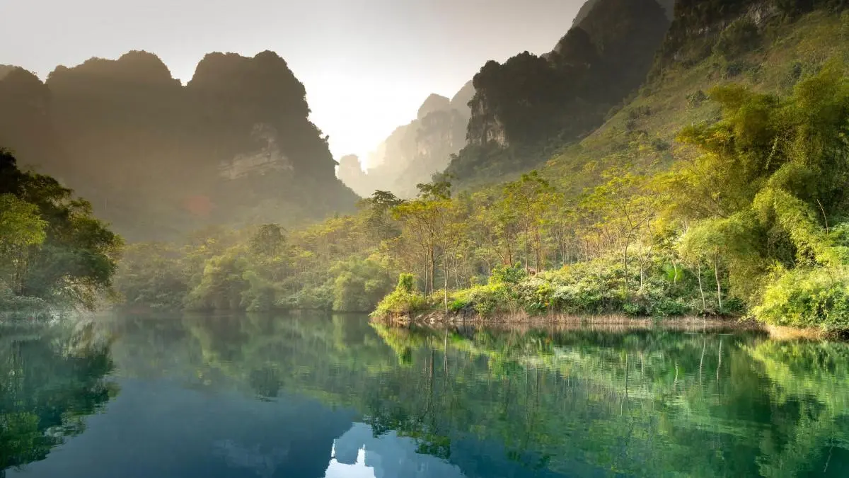 网络化无人化